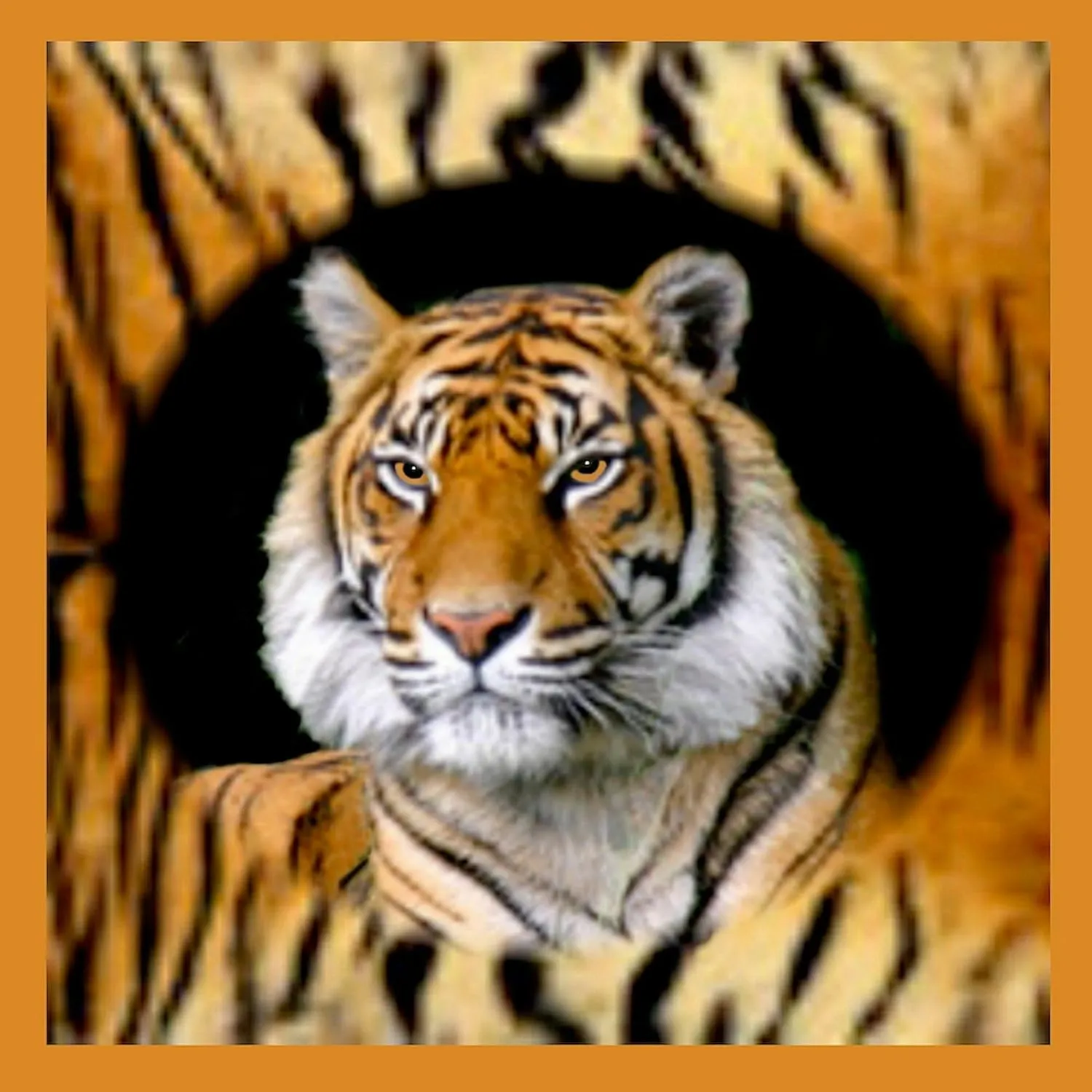 CafePress Tiger Design Tote Bag Natural Canvas Tote Bag, Reusable Shopping Bag