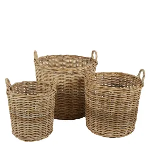 Rattan Baskets w/handles